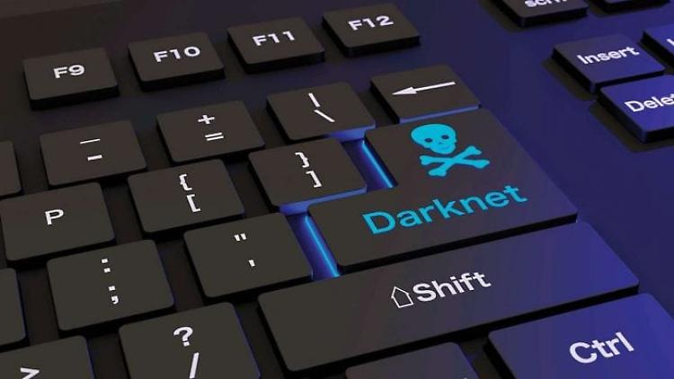 Pedofilia: sgominata in Germania rete Darknet, 400mila adepti 