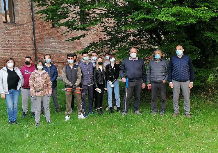 Querce salvate dai ragazzi dell'istituto Stanga