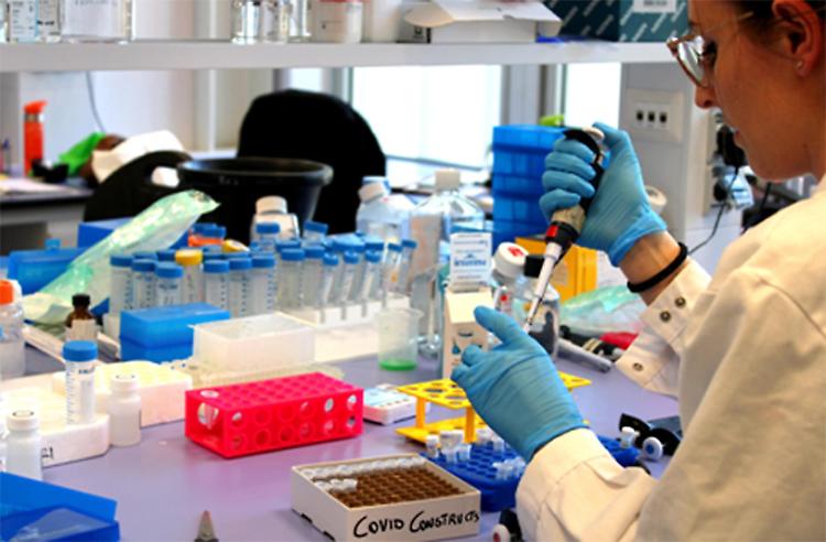 Stop al vaccino italiano, Cremona resta al palo?