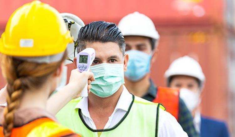 Meno imprese giovanili ma più reattive al Covid