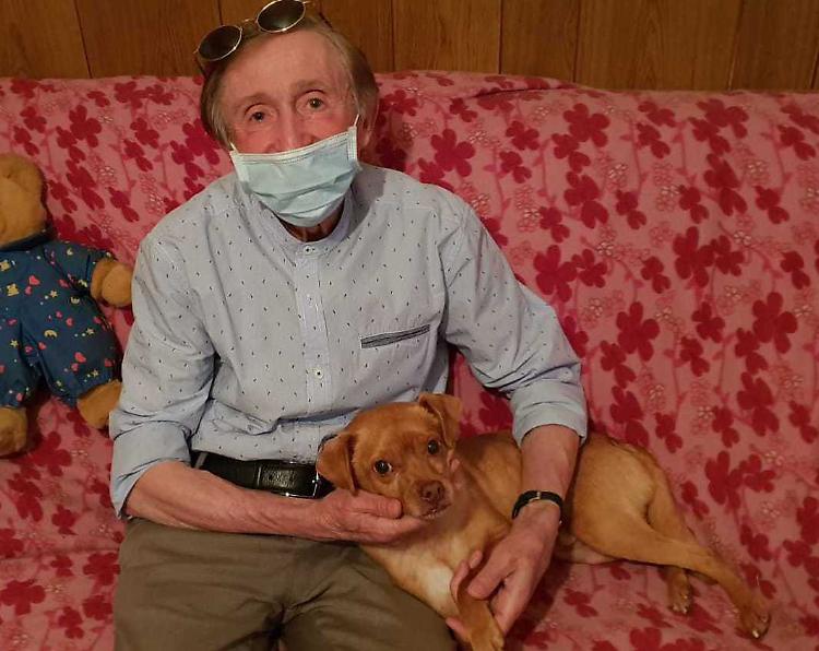 La padrona muore, il sindaco Garoli adotta il cane Willy
