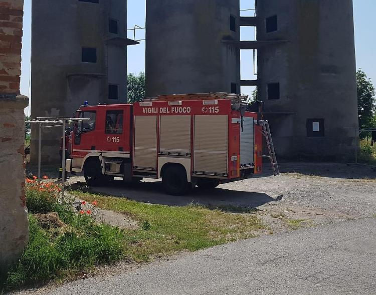  Gatto salvato dai vigili del fuoco volontari di Piadena Drizzona