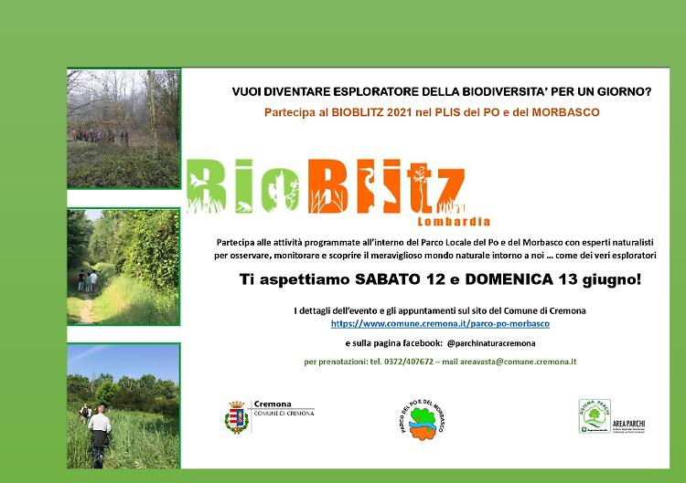 Bioblitz, alla scoperta delle bellezze naturali del PLIS del Po e del Morbasco