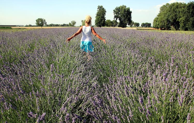 Lavanda solidale per sostenere chi è in difficoltà