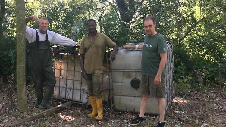 Recuperati grossi contenitori portati in zona golenale dalla piena del Po