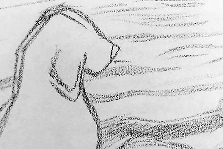 DOG una storia di ordinaria normalità Presentazione libro