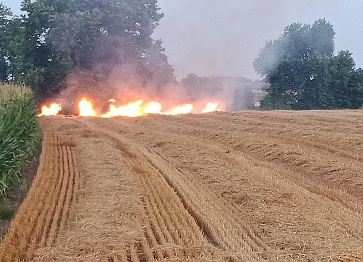 Incendio doloso in un campo