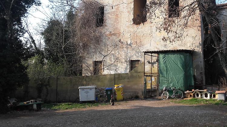 1.500 "no" al nuovo gattile: cresce la contestazione