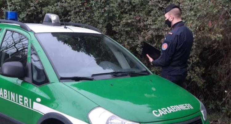 Rave party, due cremonesi presi con ketamina e cannabis