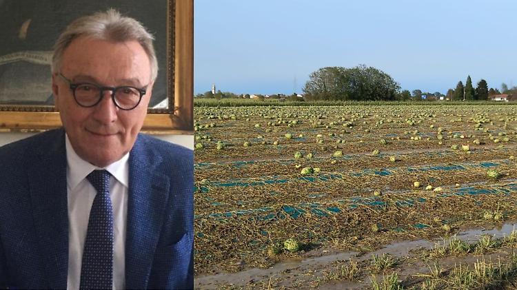 Confagricoltura, Crotti: "Un disastro, servono aiuti"