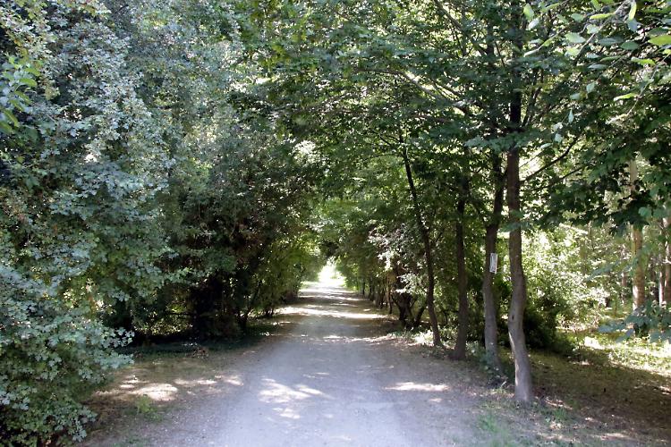 “Tunnel degli Olmi”,  transito vietato a tutti