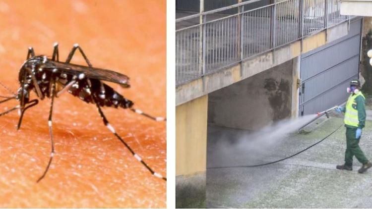 Maxi disinfestazione: stanotte scatta la guerra alle zanzare
