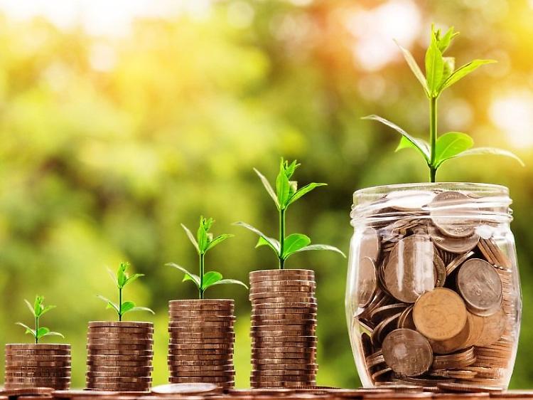 Recovery, Giansanti: imprenditori agricoli pronti per sfida economica del Paese