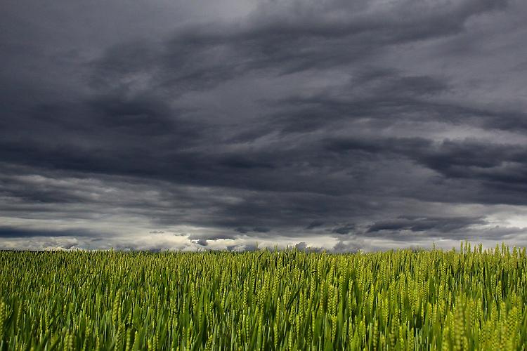 Temporali in arrivo nelle prossime ore