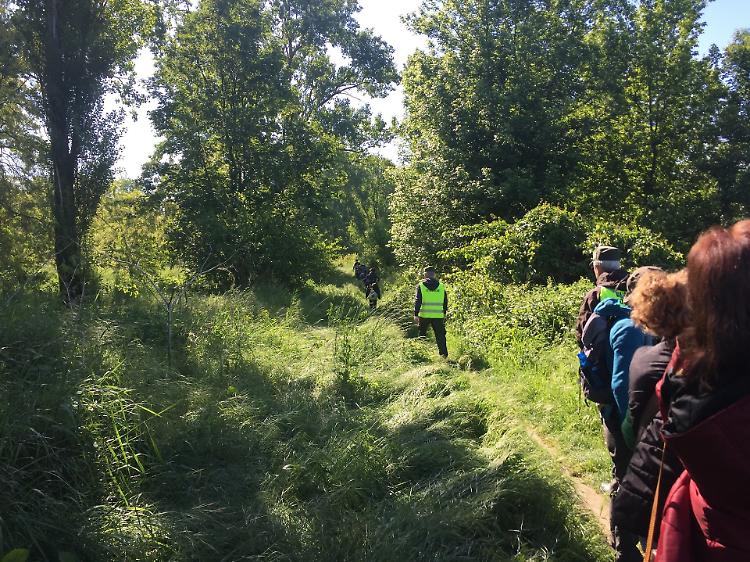 Guardia ecologica volontaria, corso gratuito