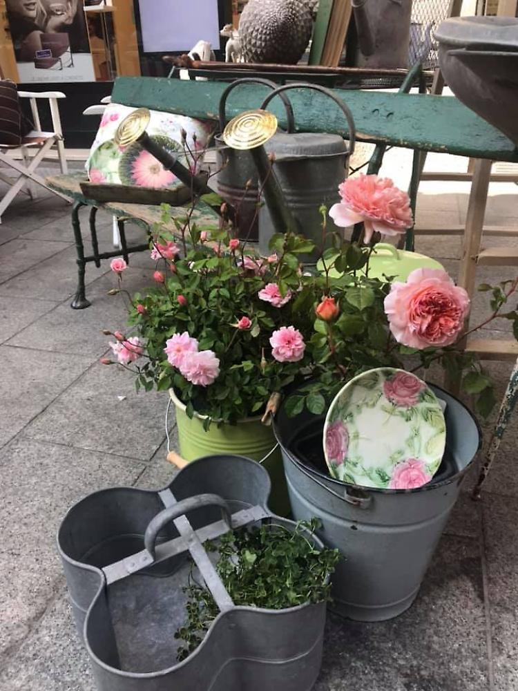InvasioniBotaniche