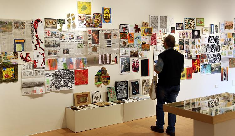 Museo Diotti, riaperta la mostra sull’Amazzonia