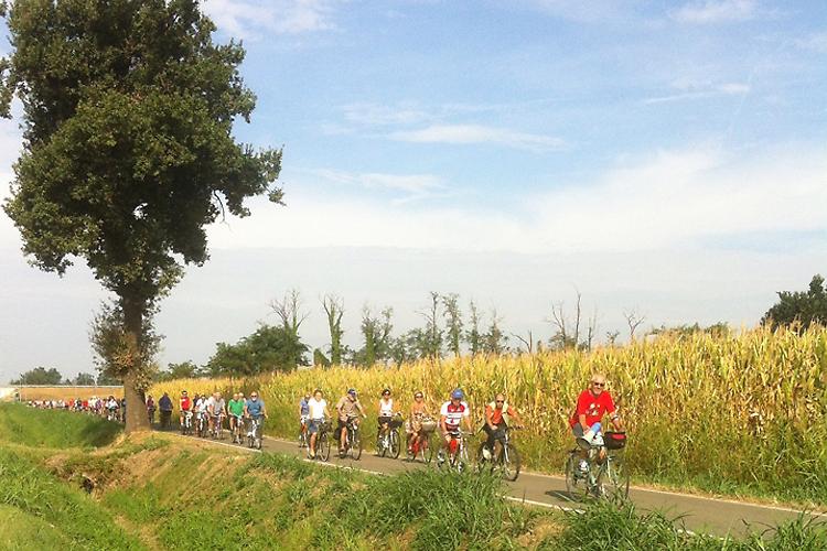 17^ Biciclettata Avis