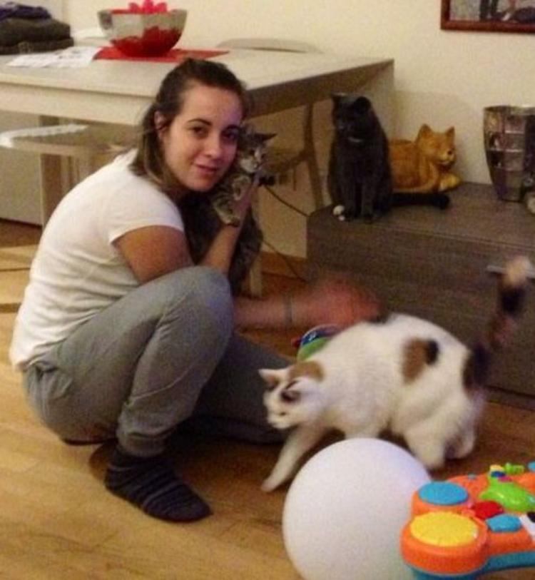 Virus letale nell’oasi felina: rimarrà chiusa per un mese