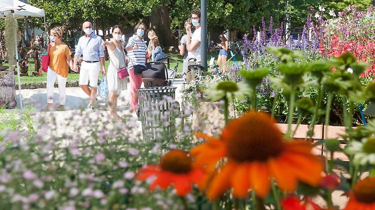 Con "Le Invasioni Botaniche" Cremona diventa giardino d'autunno