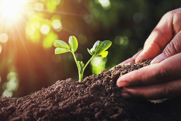 "Sostenibilità diventi un asset per l’industria alimentare, non un limite"