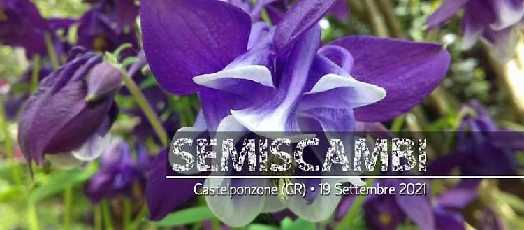 SeMiScambi