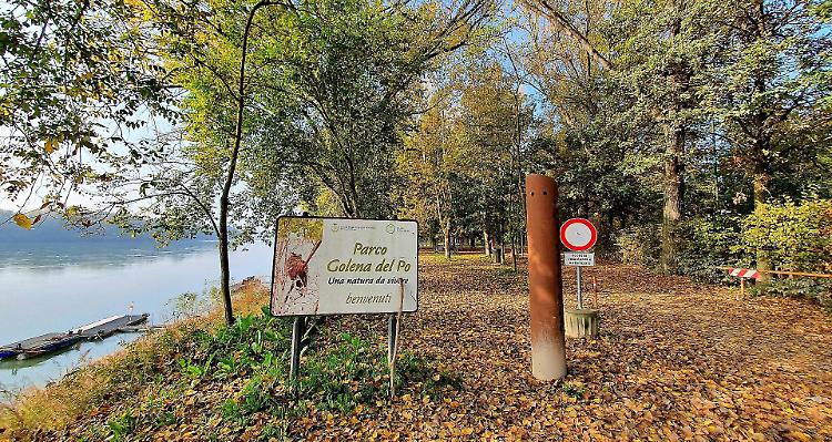 Parco golena, al via un importante progetto di riqualificazione forestale