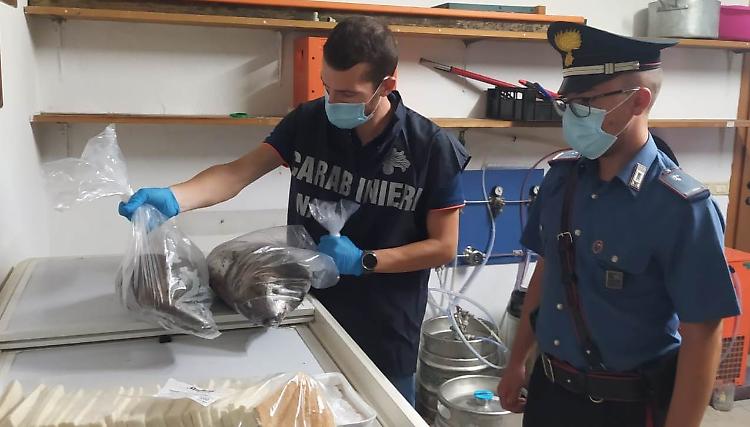 Nutrie congelate servite nei tramezzini, operazione del Nas di Cremona