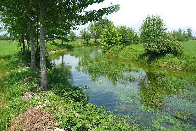 La Sinfonia dell'Acqua