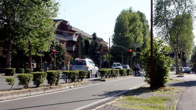 Piano verde: 190 nuove piante al posto delle 133 da abbattere