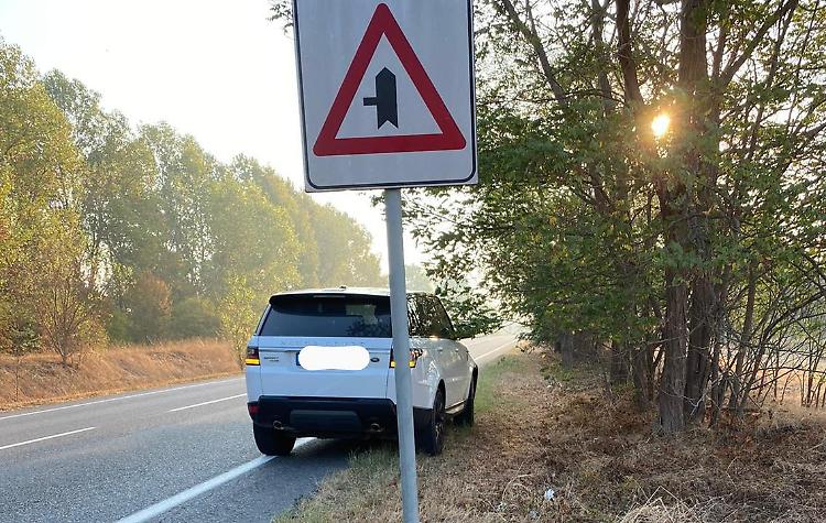 Capriolo investito da un'auto sulla Paullese: «Mia figlia ha rischiato»