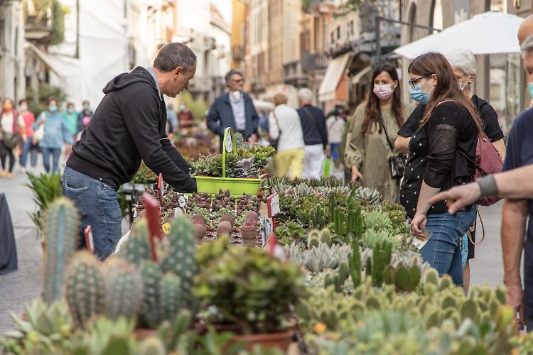 Invasioni Botaniche,  Cremona come un giardino pronta a incantare