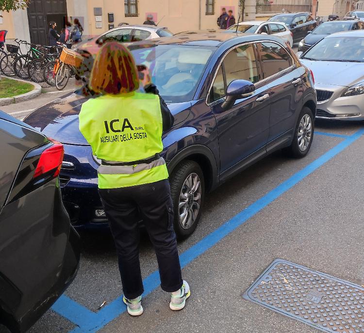 Ausiliaria del traffico impallinata