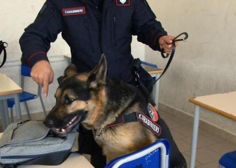 Droga e coltello a scuola, 14enne denunciato