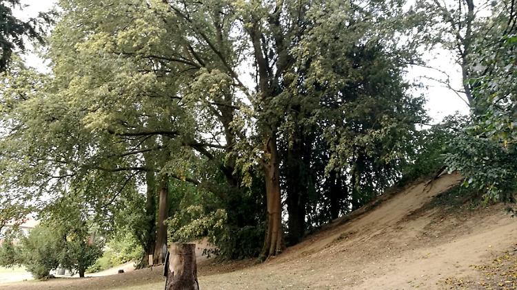 Una passeggiata nel Parco Bonaldi con il FAI