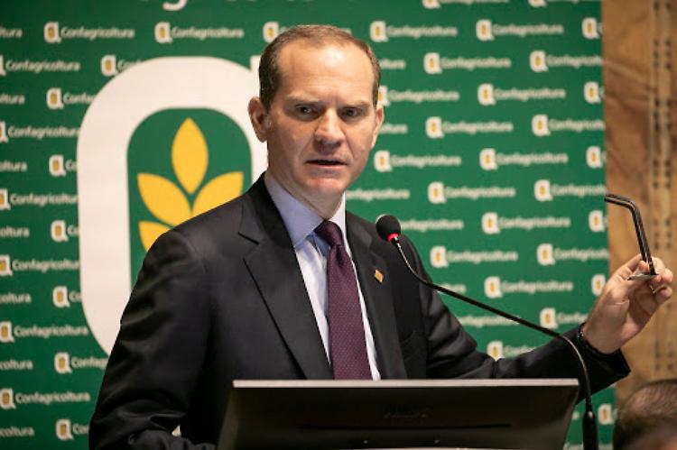 Seminativi, Confagri: deroghe della Ue, più flessibilità agli agricoltori per l'aumento dei raccolti