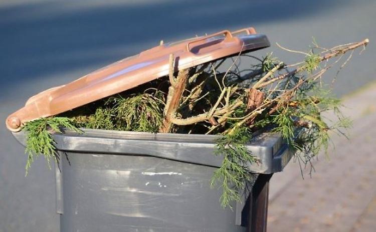 Scarti vegetali: in inverno raccolta porta a porta a cadenza mensile