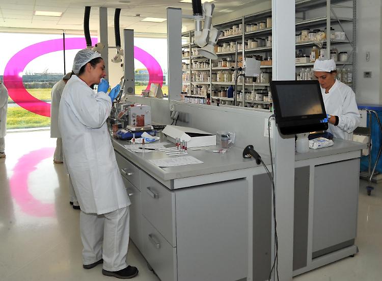 Omnicos per la sostenibilità: «Attenzione all’intera filiera»