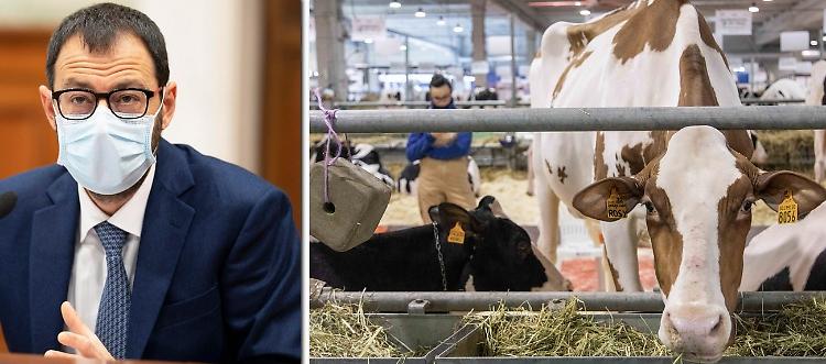 Patuanelli oggi a Cremona: «Siete un riferimento da oltre settant'anni»
