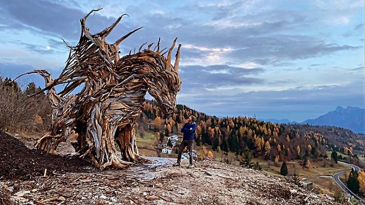 Nasce un Drago dalle foreste distrutte da Vaia
