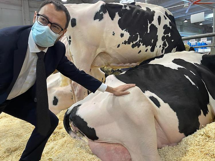 Siccità, Patuanelli: "Necessario razionalizzare e uso consapevole acqua"