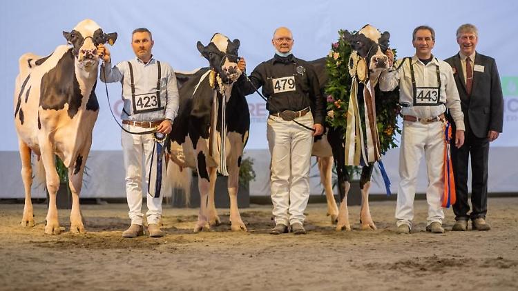 Mostra zootecnica, il trionfo di Castelverde