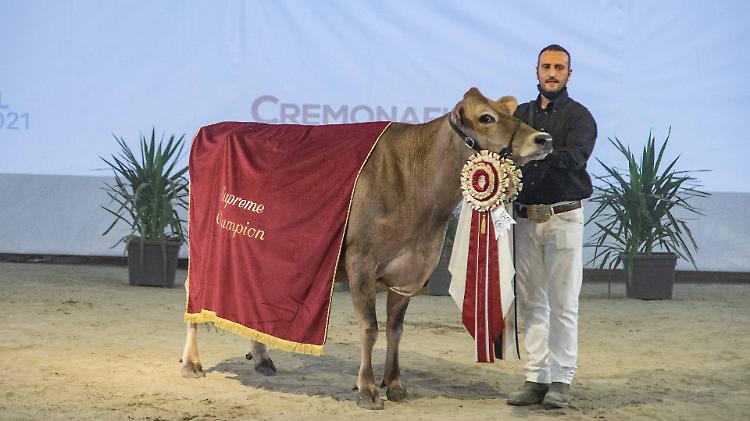 Ma mostra: proclamate le campionesse delle campionesse