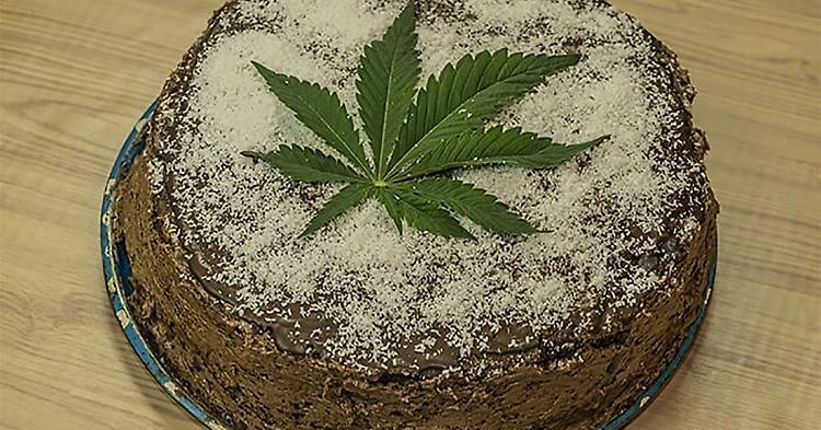 Preparano una torta alla marijuana, cinque ragazzi in ospedale