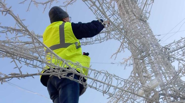 Sfascia l'albero di Natale tra il tifo degli amici: la scena è stata filmata