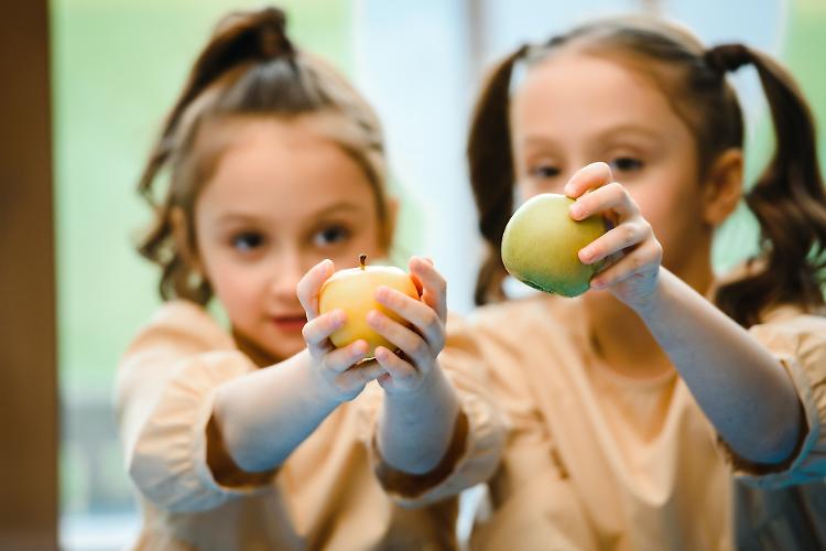 Asili nido e scuola per l'infanzia: per il 2022 le tariffe rimangono invariate