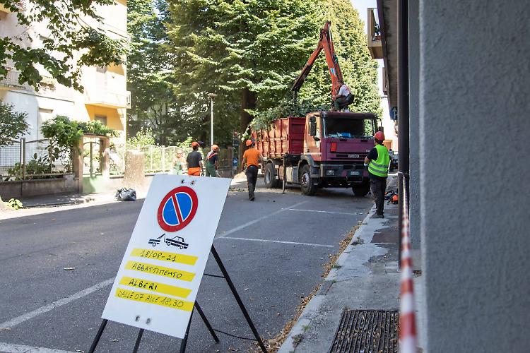 Verde pubblico, sì all'istituzione della Consulta