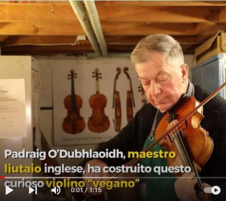 Il «violino vegano» non convince gli eredi di Strad