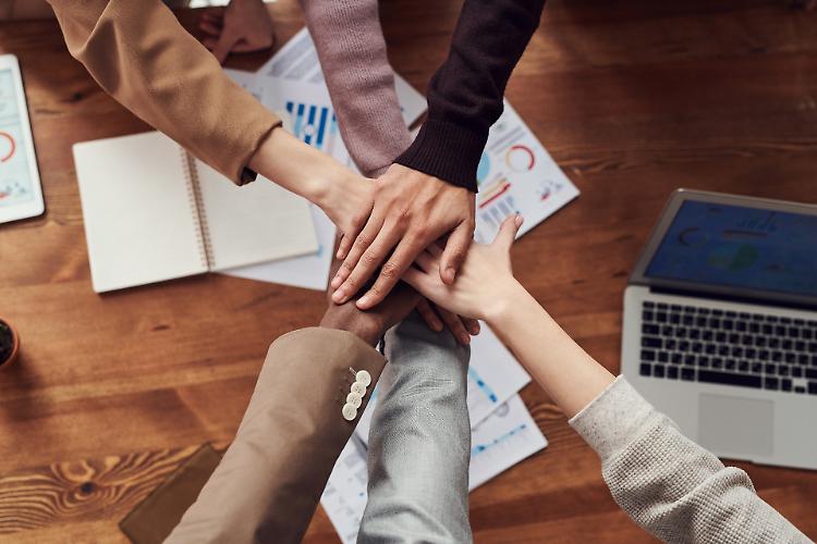 Sei a caccia di una occupazione stabile? Scopri le opportunità disponibili