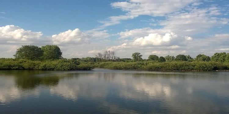 Visita guidata alla scoperta della riserva naturale Le Bine